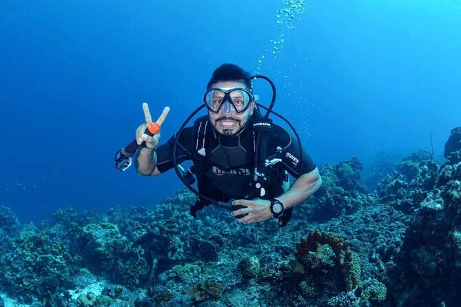 Diving Experience in Cartagena with all Incluided - Key Points Before You Book