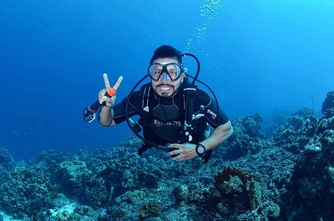 Diving Experience in Cartagena with all Incluided - Timing, Weather, and Cancellation Rules