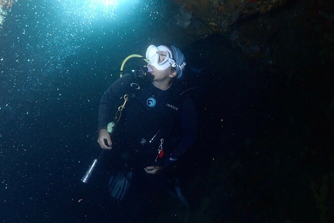Diving Experience in Cartagena with all Incluided - Who Will Get the Most From This Experience