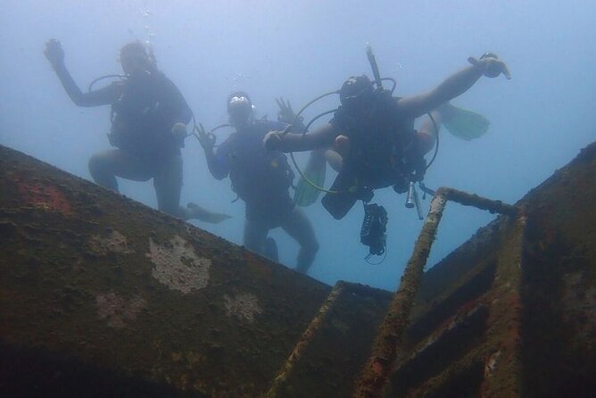 Diving in Playa Blanca Barú with Lunch - Cartagena Colombia - Booking, cancellations, and practical preparation