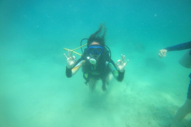 Diving in Playa Blanca Barú with Lunch - Cartagena Colombia - Forty-five minutes among reefs, boats, and fish