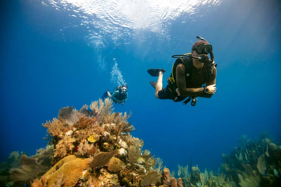 Diving Santa Marta & Tayrona for Certified Divers (2 tanks) - Why the four-person limit matters