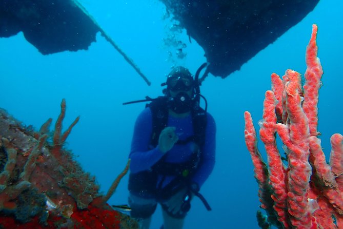 Diving Trip for Certified Divers. - Two long morning sessions, not a quick swim