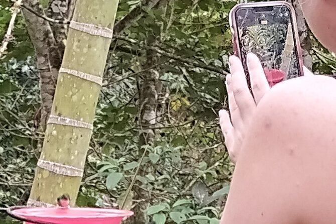 Easy Birdwatching in Cali Colombia (4 Hours) - Coffee, cool air, and time to slow down