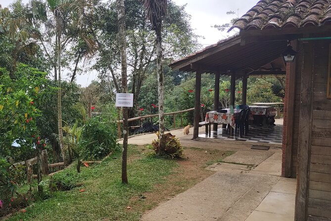 Easy Birdwatching in Cali Colombia (4 Hours) - What the $94.99 price gets you