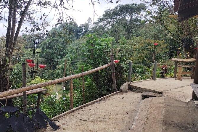 Easy Birdwatching in Cali Colombia (4 Hours) - Who should book this birdwatching trip