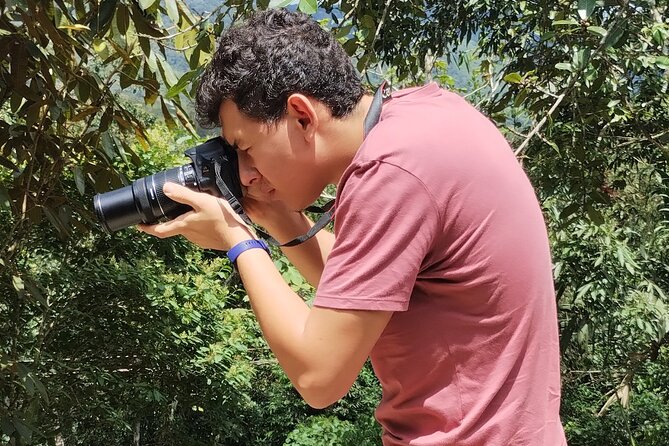 Easy Birdwatching in Cali Colombia (4 Hours) - Timing, weather, and a real-world caution