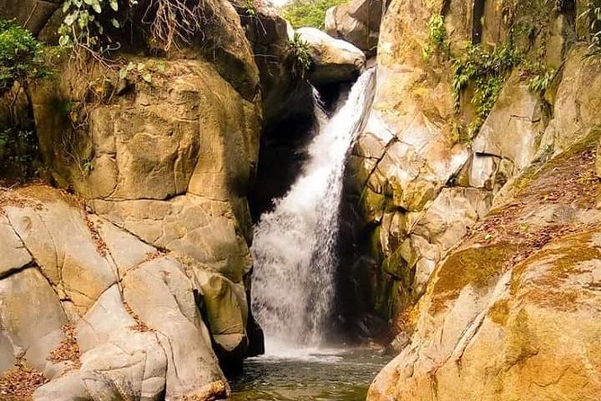 Eco-Hike in Minca: Coffee Tour, Waterfall & Chocolate Experience! - Five things to know before you book