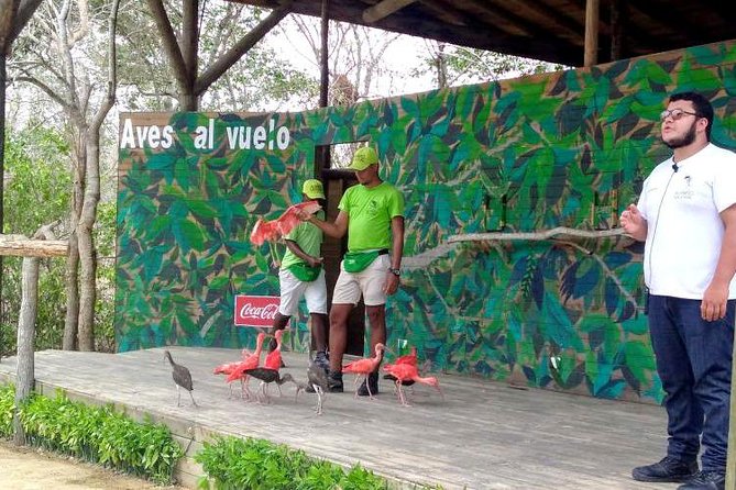 Eco Plan National Aviary and Lunch in Playa Mambo Beach Barú - A wildlife-and-beach day from Cartagena