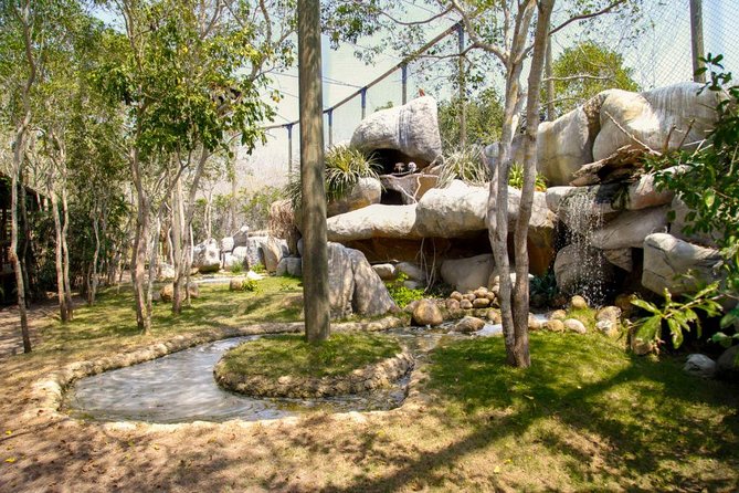 Eco Plan National Aviary and Lunch in Playa Mambo Beach Barú - Early pickup and the road to Barú