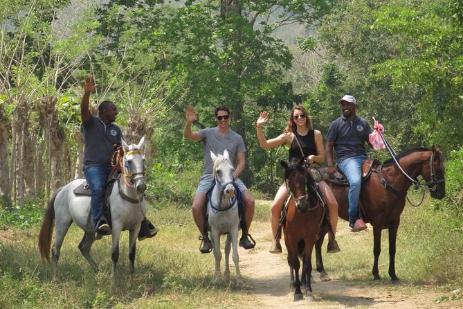 Eco-Tour on Horseback - Key points to know before you book