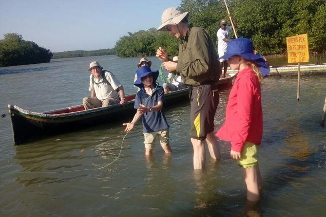 Ecoruta Volcán del Totumo and experience in the Mangroves - Key points to know before you book