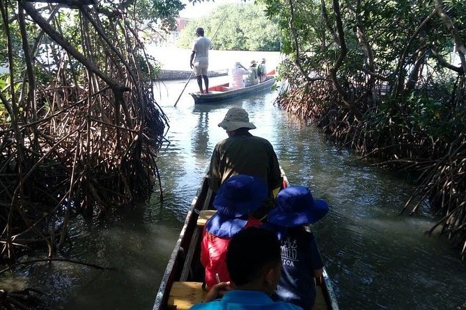 Ecoruta Volcán del Totumo and experience in the Mangroves - Washing off in the Laguna del Totumo