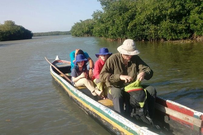 Ecoruta Volcán del Totumo and experience in the Mangroves - Lunch with coconut rice and fried fish