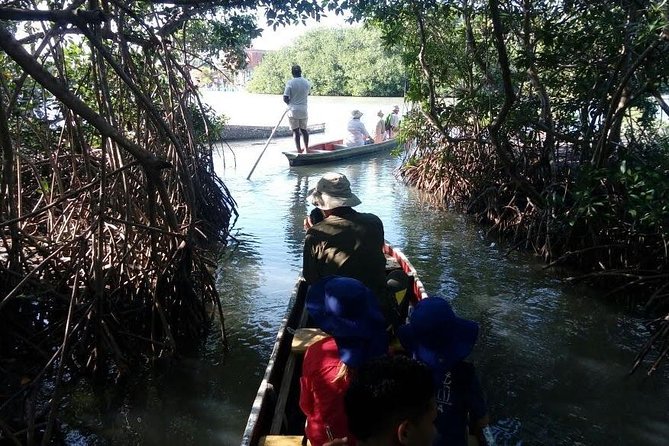 Ecoruta Volcán del Totumo and experience in the Mangroves - Is $108 a fair price?