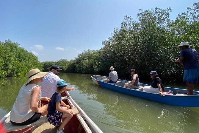 Ecotour Mangrove and Craft Fishing : Nature + Local Community - Leaving Cartagena for La Boquilla