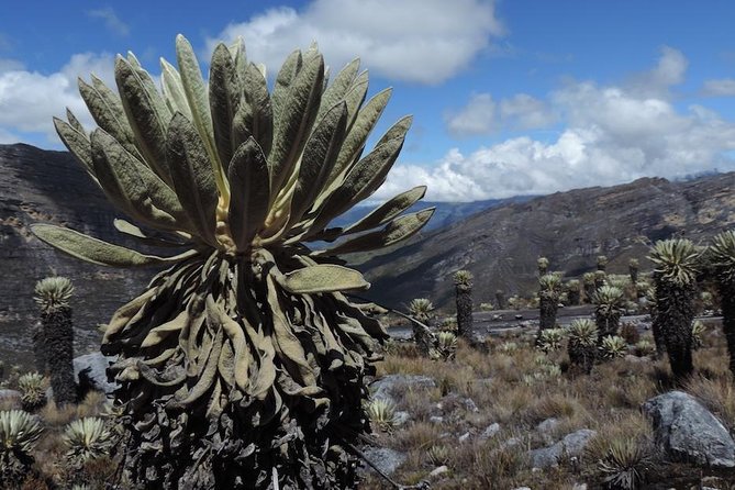El Cocuy National Park 3-day hike from Bogota - Packing and preparation that will help