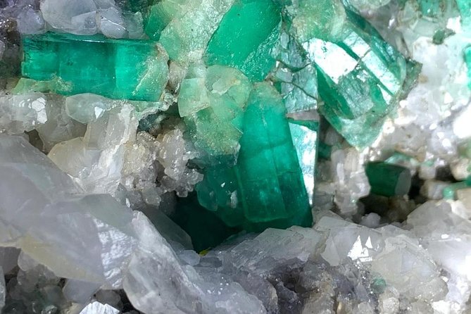 Emerald Lecture - Become an expert - The showroom and the question of buying