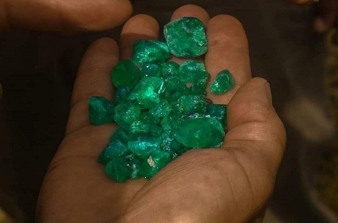 Emerald Lecture - Become an expert - Who should book this experience?