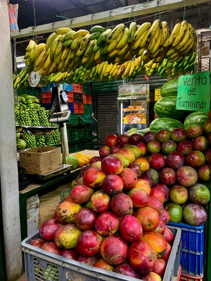Essential Fruit Experience - The opening: history and daily life at Plaza Minorista