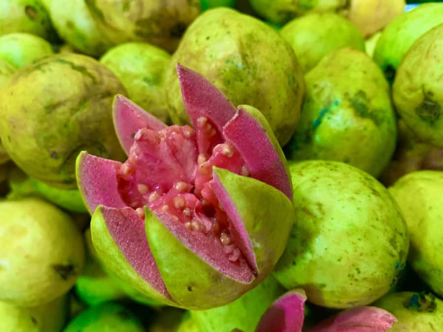 Essential Fruit Experience - The 10-minute break and 15 minutes of sightseeing