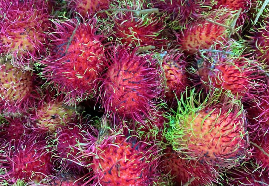 Essential Fruit Experience - Nicole’s guiding style and the value of a private group