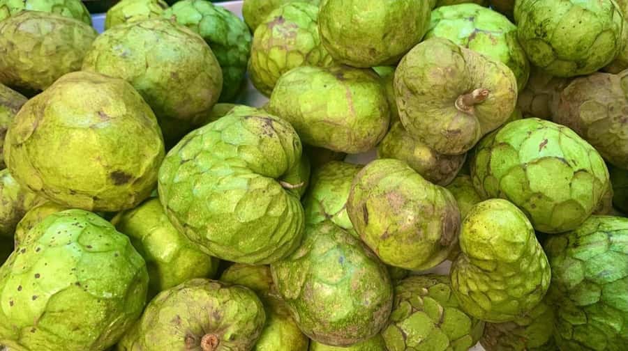Essential Fruit Experience - The e-book is more useful than a simple souvenir
