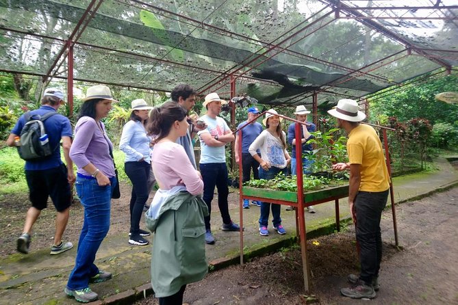 Exclusive Coffee Experience:Tour from Bogotá - From coffee seedling to ripe berry