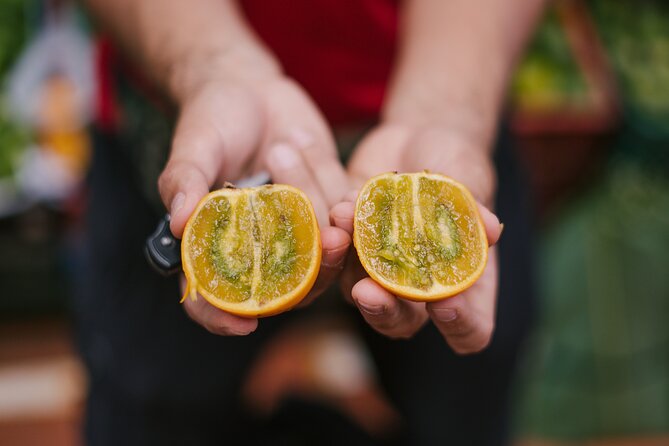 Exotic Fruits Tour - Guide quality is a major reason to book