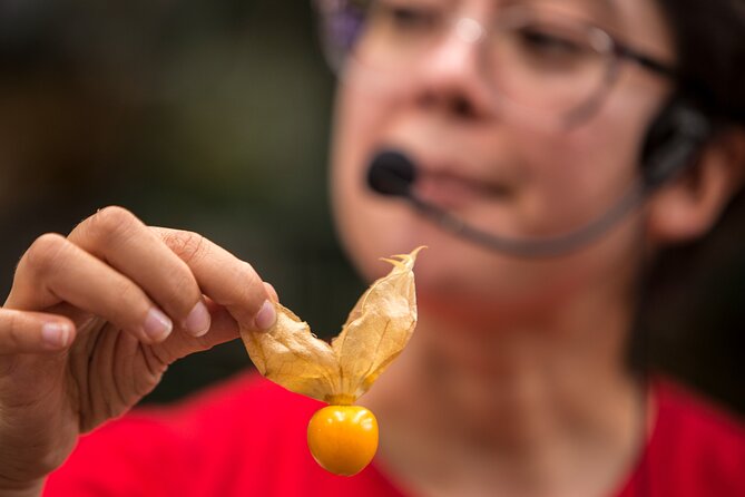 Exotic Fruits Tour - The fruit tasting is the heart of the experience