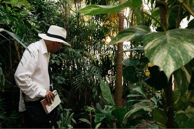 Explore / A Historic Walking Tour - Why a guided route helps in the Centro Historico