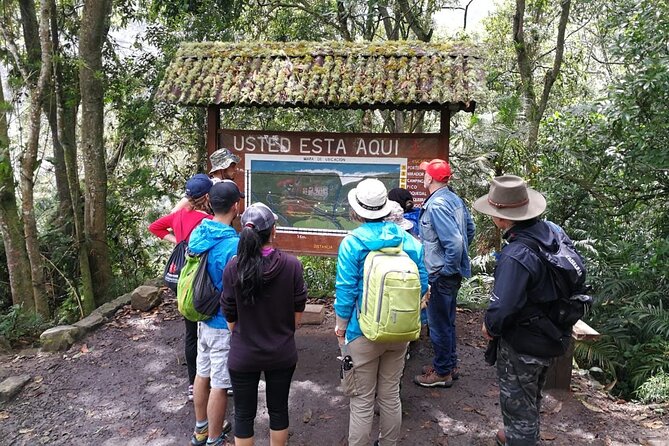 Explore Biodiversity in the Chicaque Cloud Forest Nature Reserve - The 7:00 AM pickup and road to the reserve