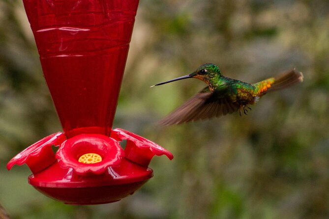 Explore Biodiversity in the Chicaque Cloud Forest Nature Reserve - Is $170 per person a fair price?