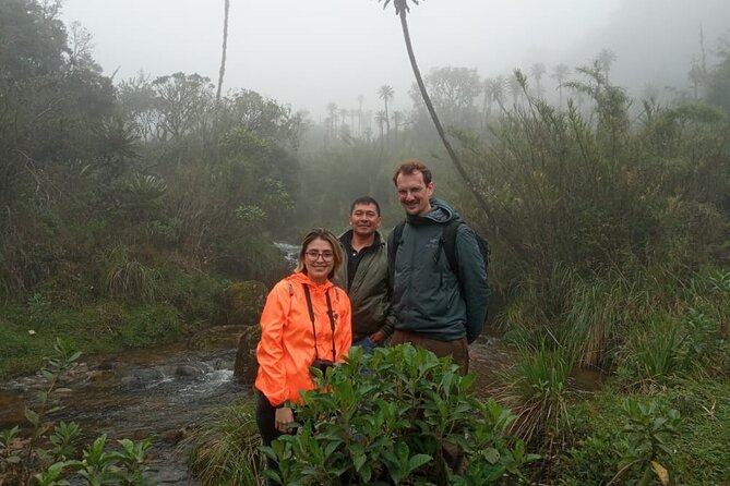 Explore Chingaza Natural Park: A Scenic Adventure from Bogotá - Why Chingaza feels different from Bogotá