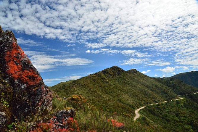 Explore Chingaza Natural Park: A Scenic Adventure from Bogotá - Walking the three-hour Rincón del Oso Trail