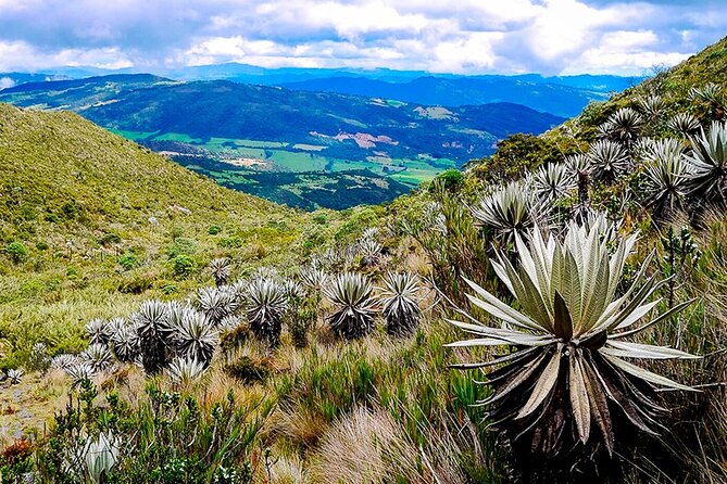 Explore Chingaza Natural Park: A Scenic Adventure from Bogotá - Weather, clothing, and realistic expectations