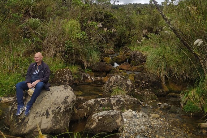 Explore Chingaza Natural Park: A Scenic Adventure from Bogotá - Entering the park: documents and strict rules