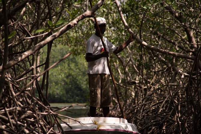 Explore La Boquilla’s Mangrove Tunnels with Local Fishermen - Leaving Cartagena for La Boquilla