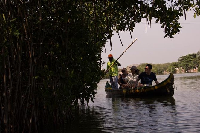 Explore La Boquilla’s Mangrove Tunnels with Local Fishermen - Entering the Ciénaga de la Virgen tunnels