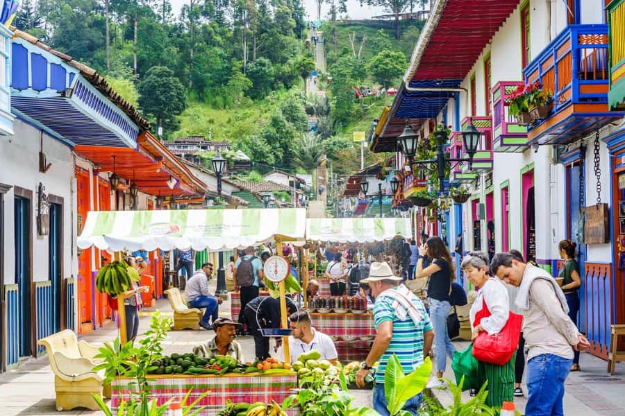 Filandia, Salento and Cocora Valley Private Tour - Filandia, viewpoints, and a slower final stop