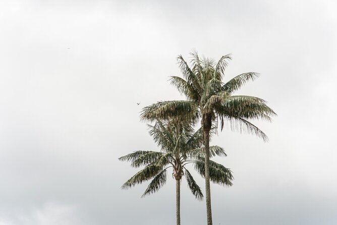 Filandia, Salento and Cocora Valley Tour - FAQ