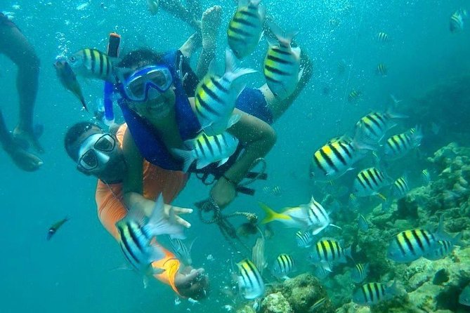 Four Islands Experience Isla Baru - Playa Tranquila: Two Hours and a Proper Lunch