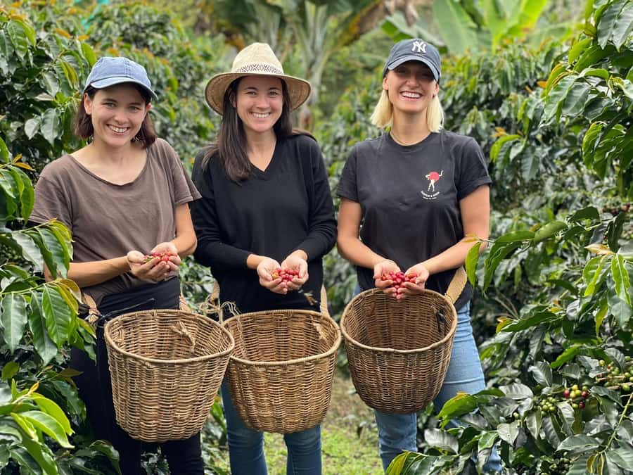 From Bogota: 5 hour guided coffe farm tour - All included - Meeting the people behind the coffee