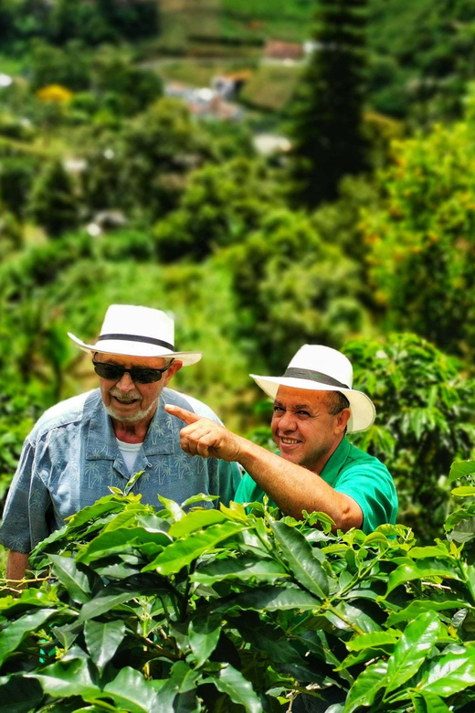 From Bogota: 5 hour guided coffe farm tour - All included - Colombian lunch and the value of the day