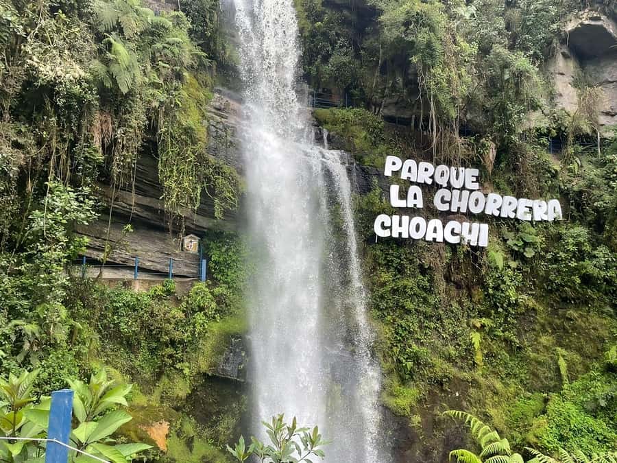 From Bogotá: Chingaza National Park Eco Tour - Weather is the real test