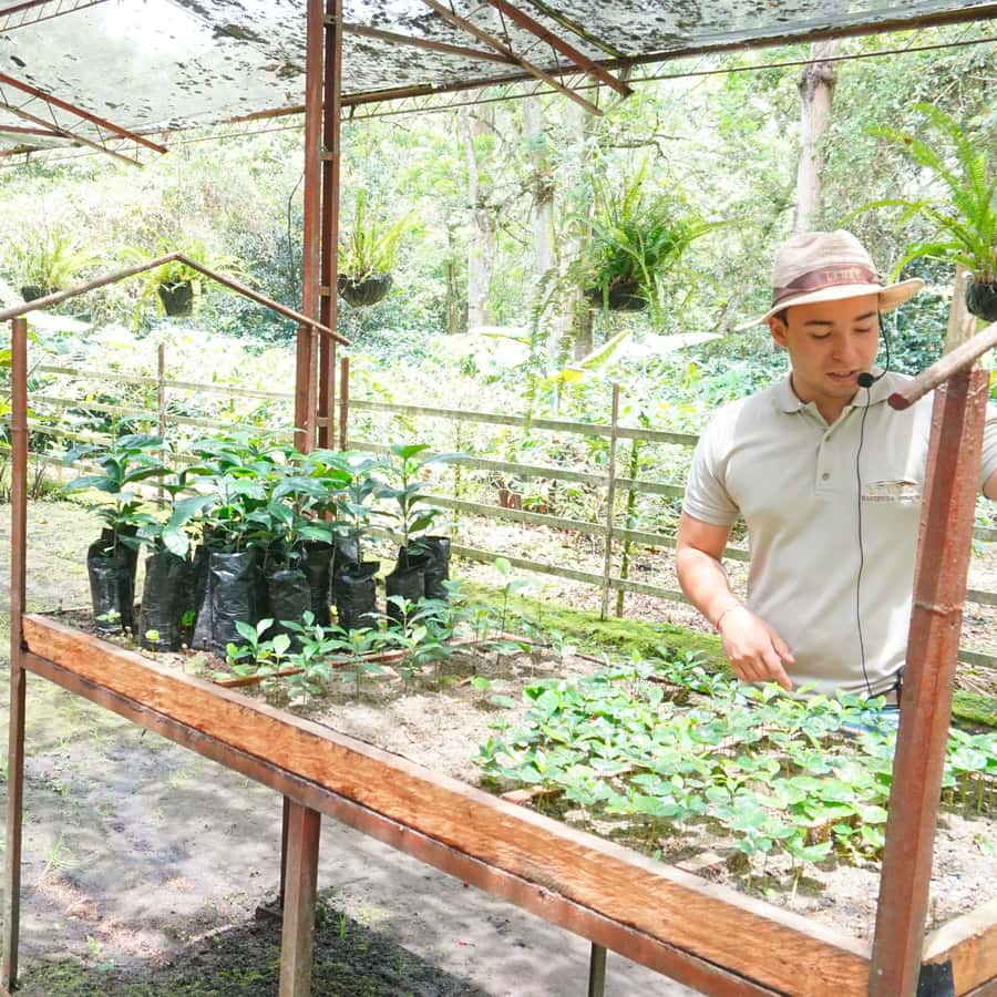 From Bogotá: Coffee Farm and Tequendama Falls Tour - Key points at a glance