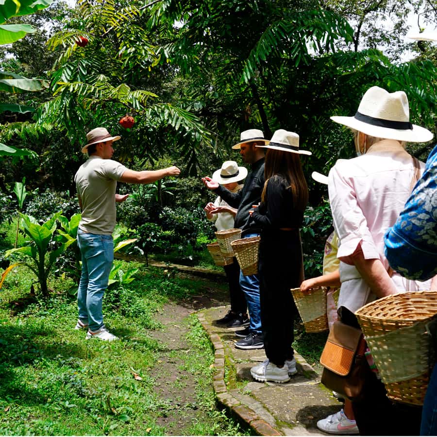 From Bogotá: Coffee Farm and Tequendama Falls Tour - Leaving Bogotá for coffee country