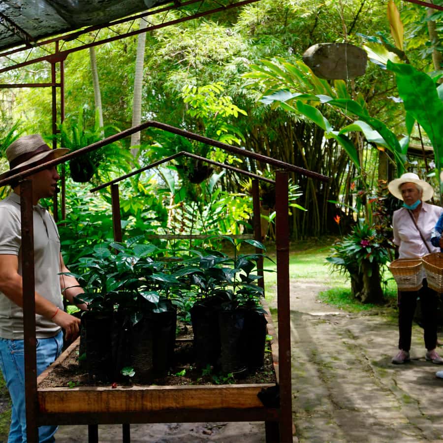 From Bogotá: Coffee Farm and Tequendama Falls Tour - How the $85 price works for you