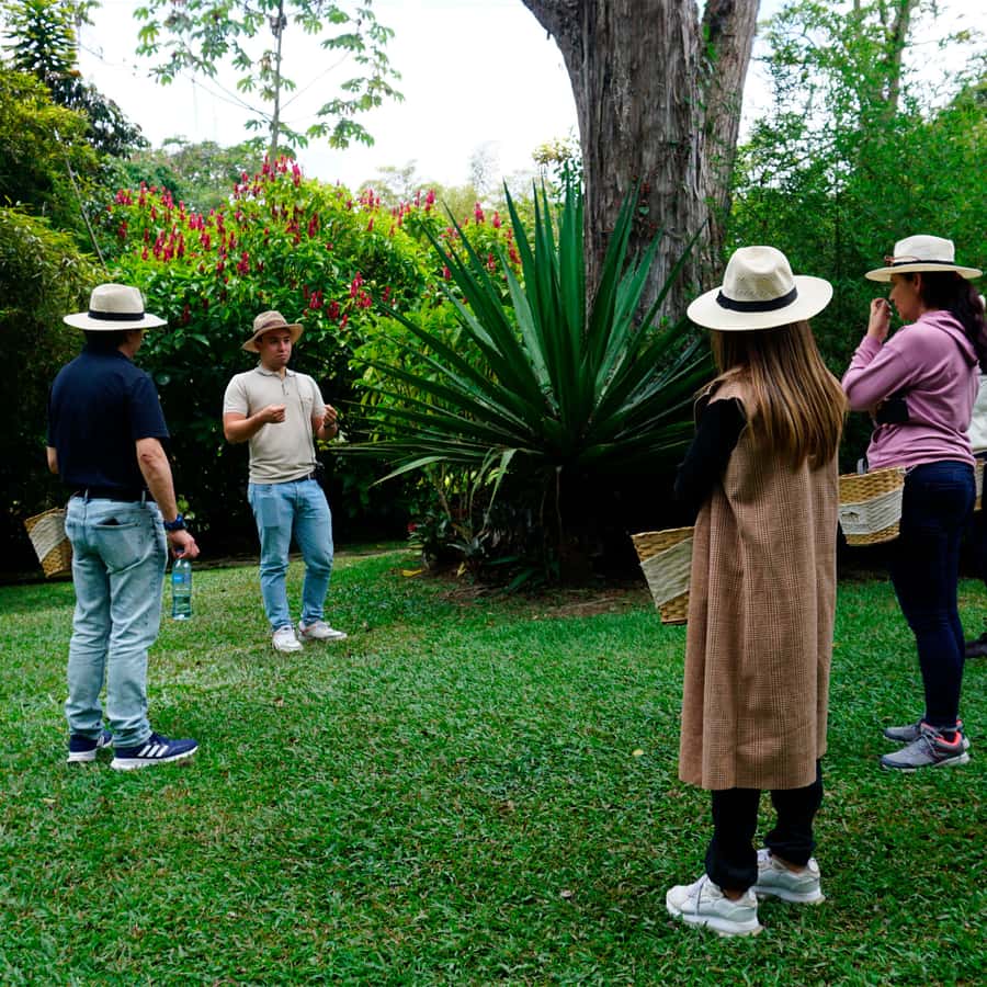 From Bogotá: Coffee Farm and Tequendama Falls Tour - Who should book this day trip?