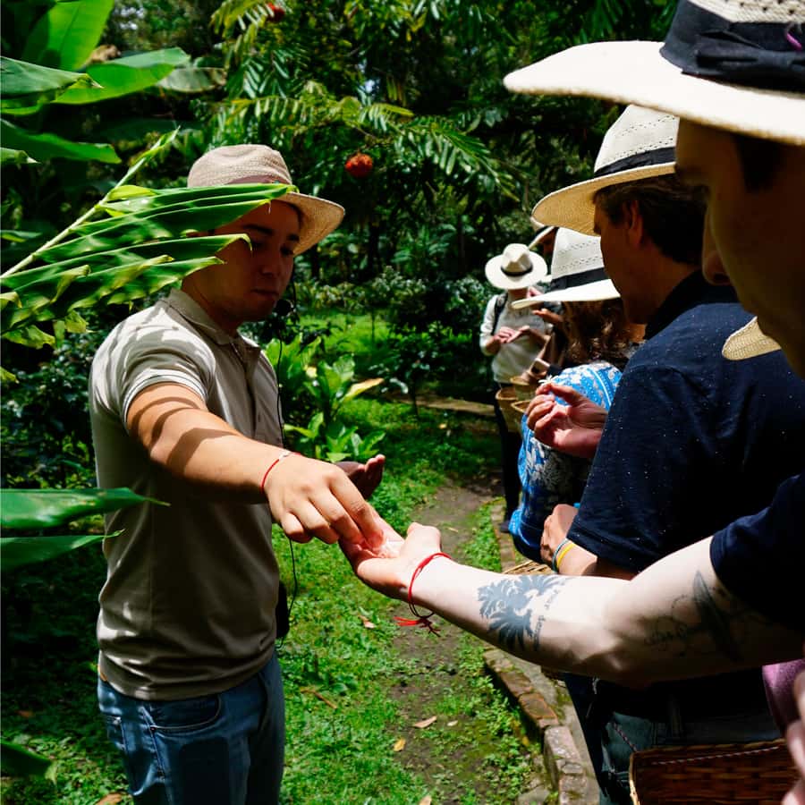 From Bogotá: Coffee Farm and Tequendama Falls Tour - Tequendama Falls and the Bogotá River